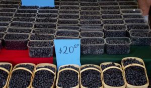 Cene su „žrtve“ i prevelikih marži Cene su „žrtve“ i prevelikih marži