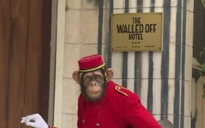 Čuveni ulični umetnik otvorio hotel u Vitlejemu Čuveni ulični umetnik otvorio hotel u Vitlejemu