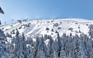 Ko će sve učestovovati na „srpskom Davosu“? Ko će sve učestovovati na „srpskom Davosu“?