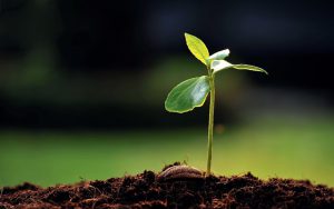 Nova ulaganja AXA Grupe Nova ulaganja AXA Grupe