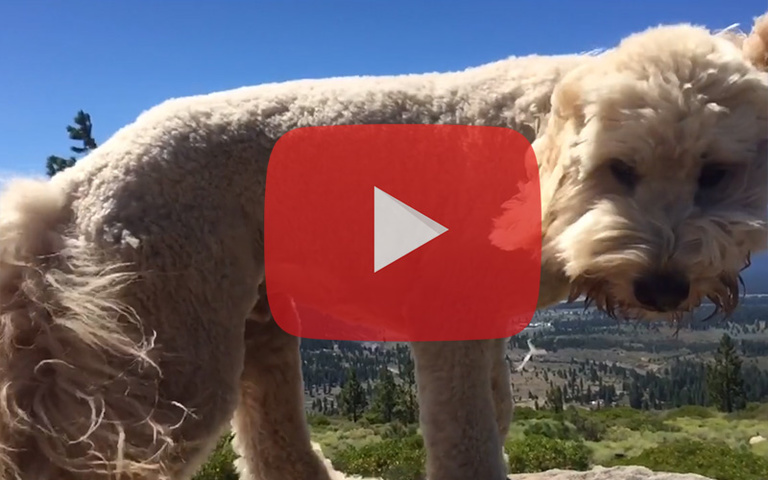 Novine na Instagramu