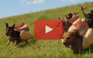 Ovo je jedna od najboljih reklama emitovanih na Super Bowlu Ovo je jedna od najboljih reklama emitovanih na Super Bowlu