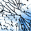 Glass breakage