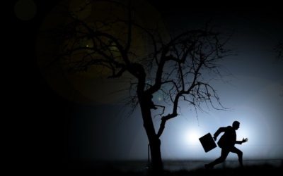 6,5 milijardi dinara utajenog poreza 6,5 milijardi dinara utajenog poreza