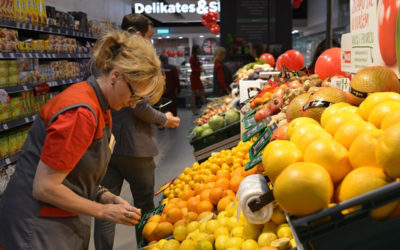 Prvi ekološki Maxi Prvi ekološki Maxi