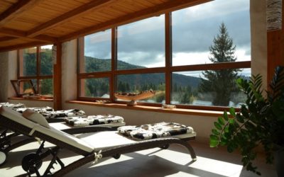 Subvencije za investicije u hotele u banjskim i klimatskim mestima Subvencije za investicije u hotele u banjskim i klimatskim mestima