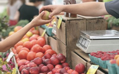 Tezge preselili na internet Tezge preselili na internet